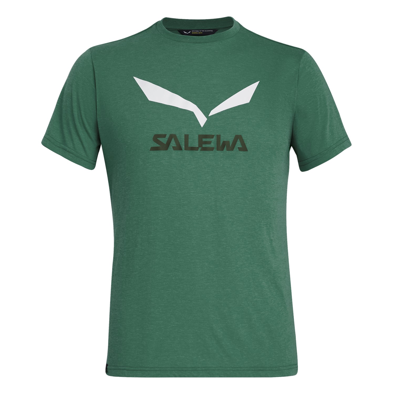 Salewa Solidlogo Drirelease® Erkek T-Shirts Yeşil Türkiye 786051EMQ